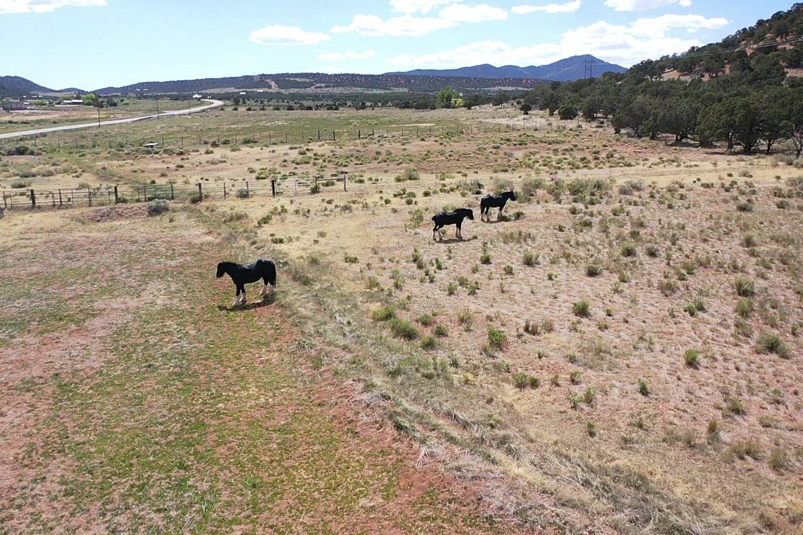 50.63 Acres HWY 56