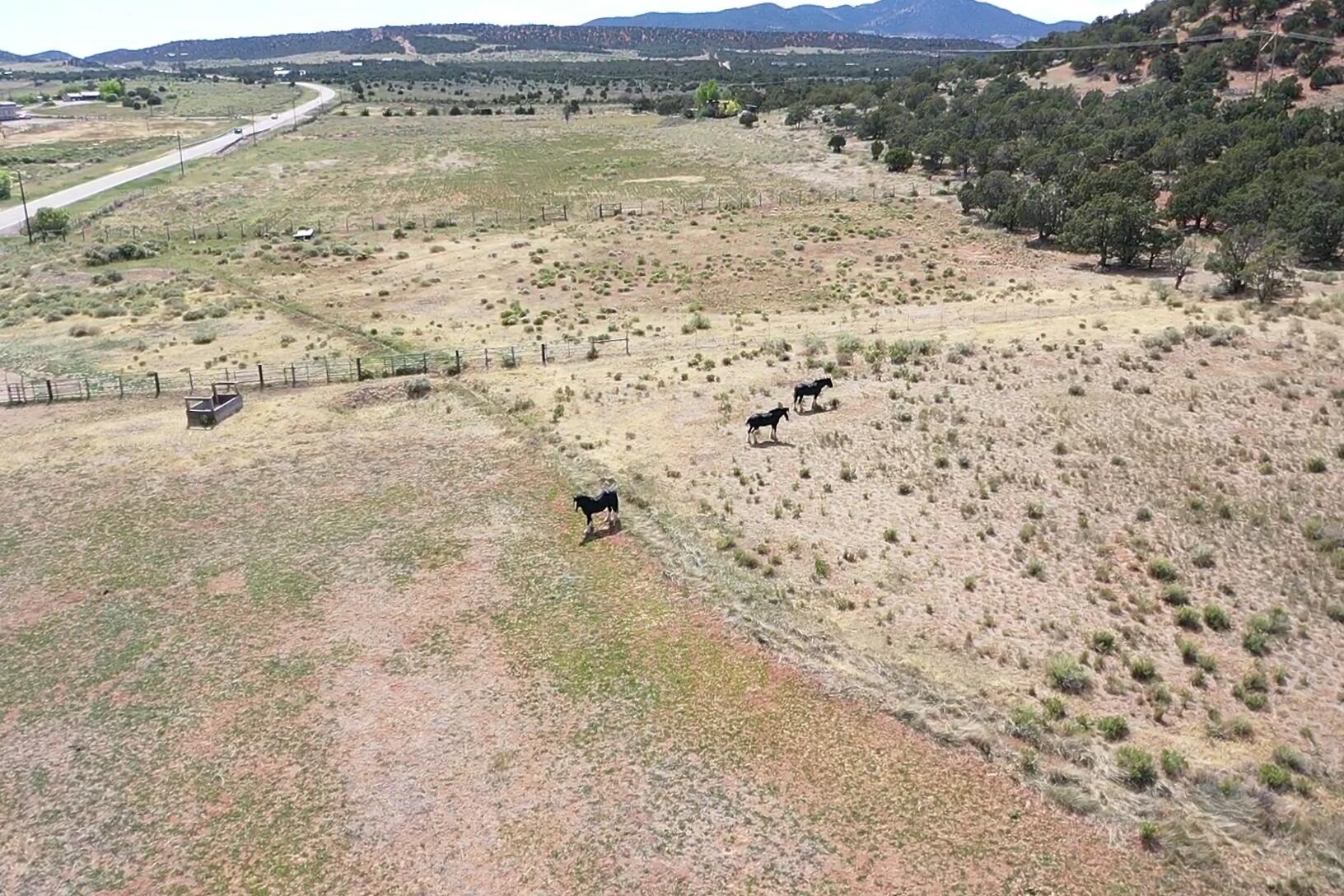 50.63 Acres HWY 56