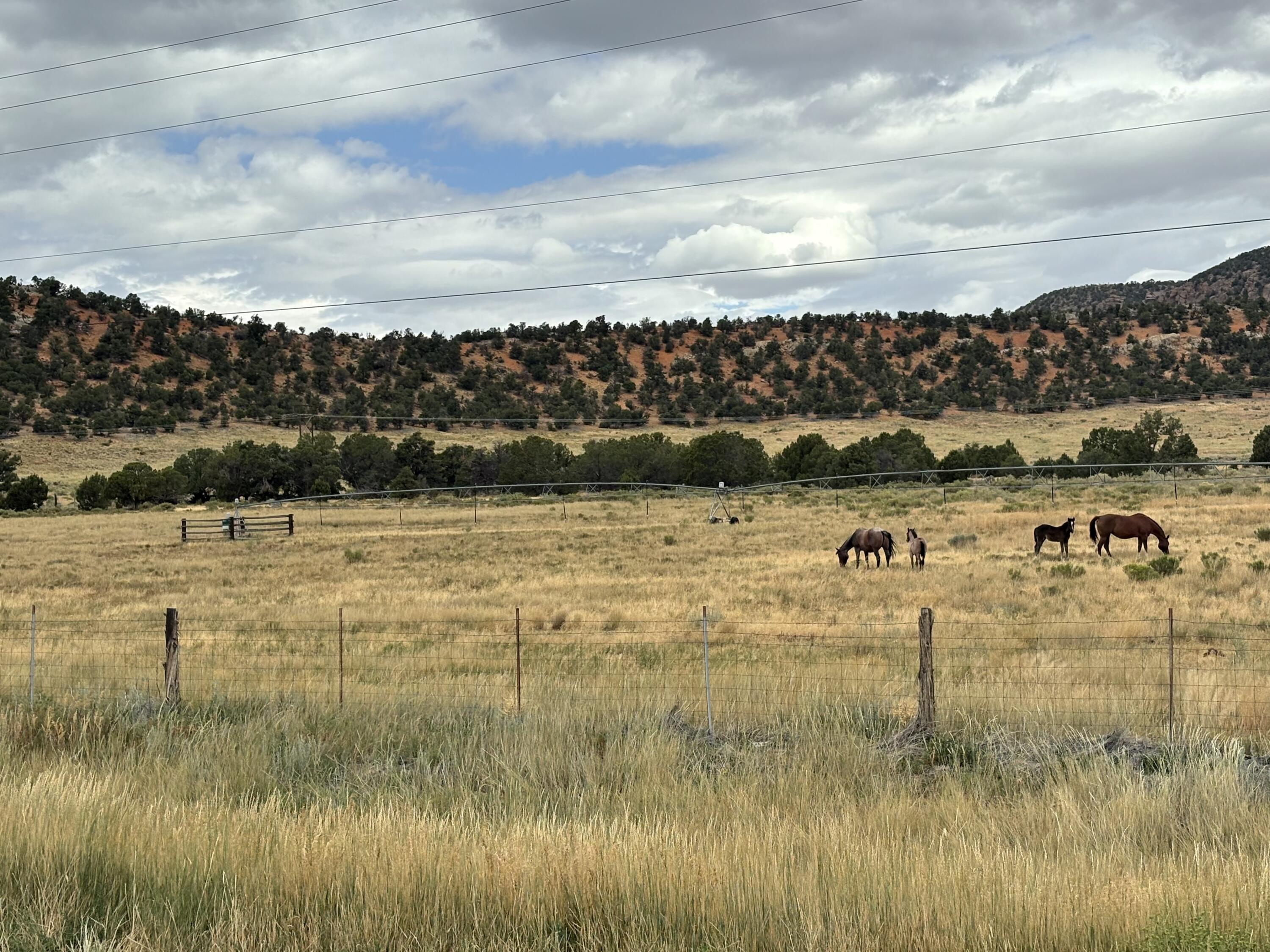 50.63 Acres HWY 56