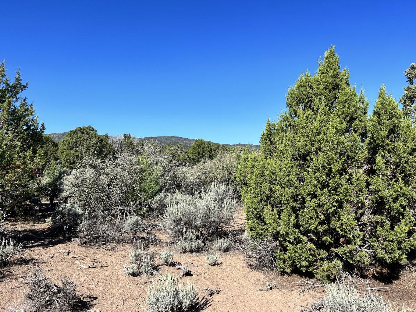 Lot 15 Harmony Mountain Ranch, Phase 2