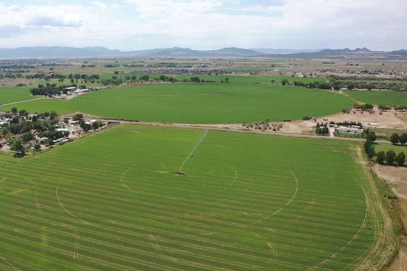 39 Acres in Enoch