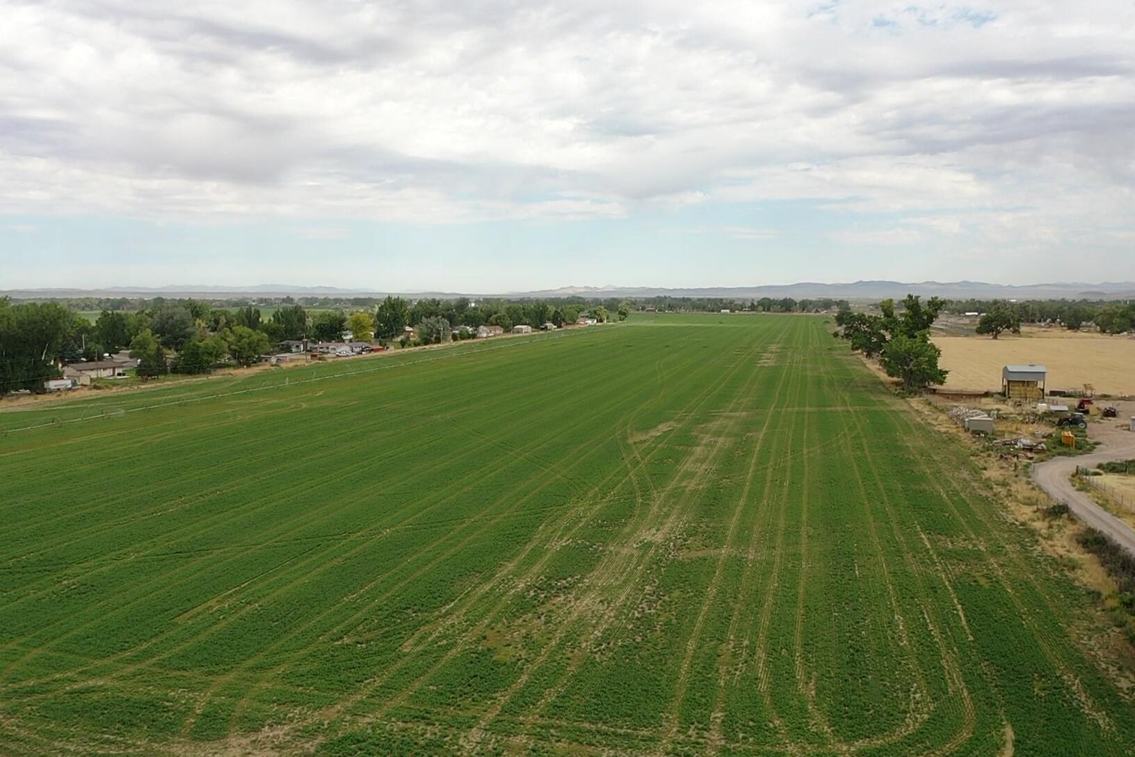 40 Acres in Enoch