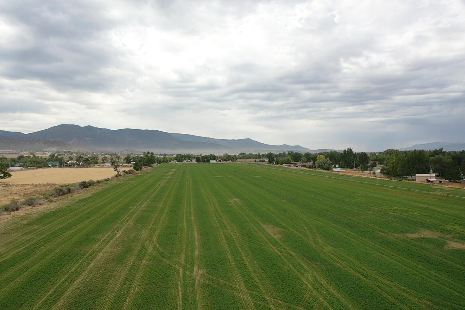 79 Acres in Enoch