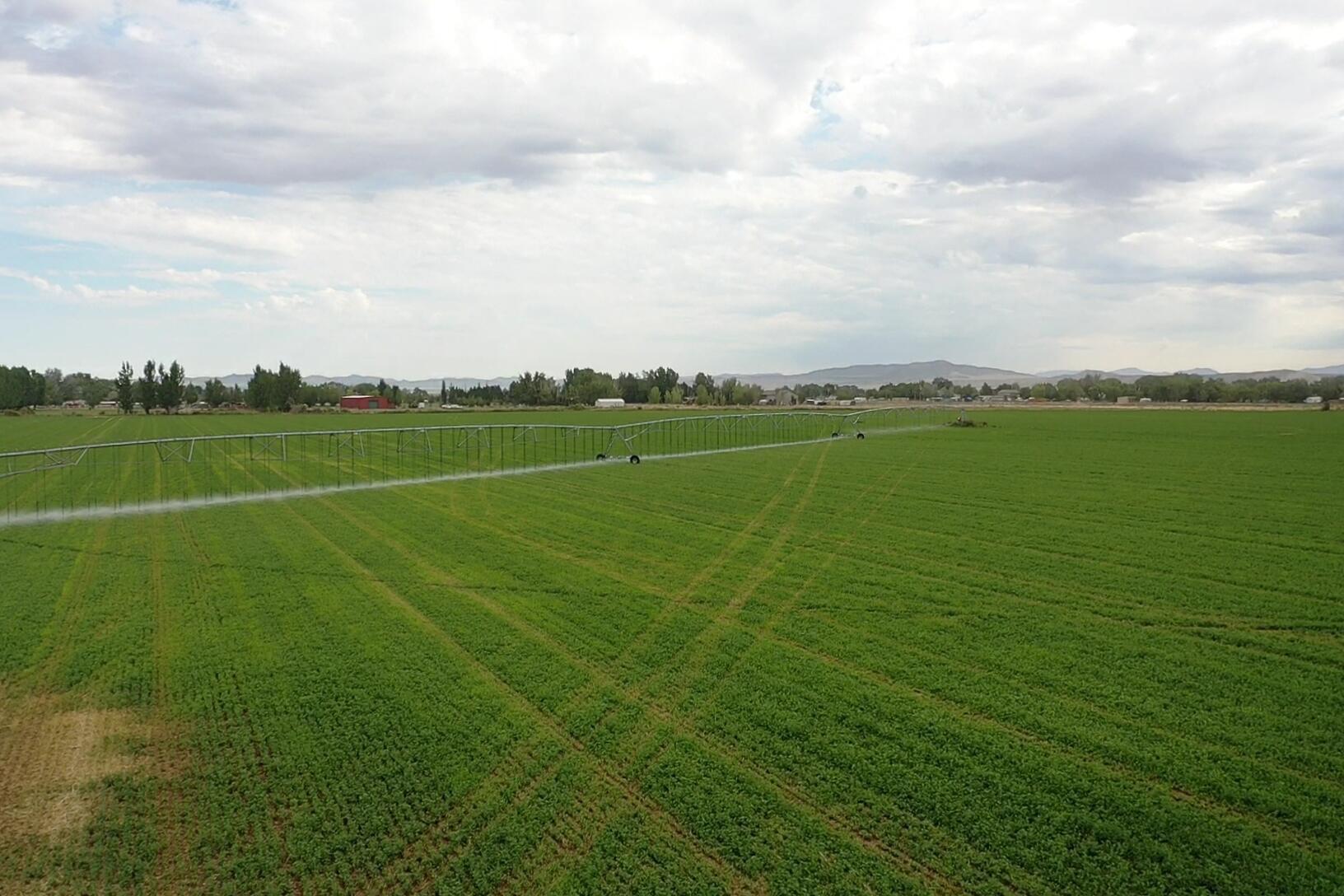79 Acres in Enoch