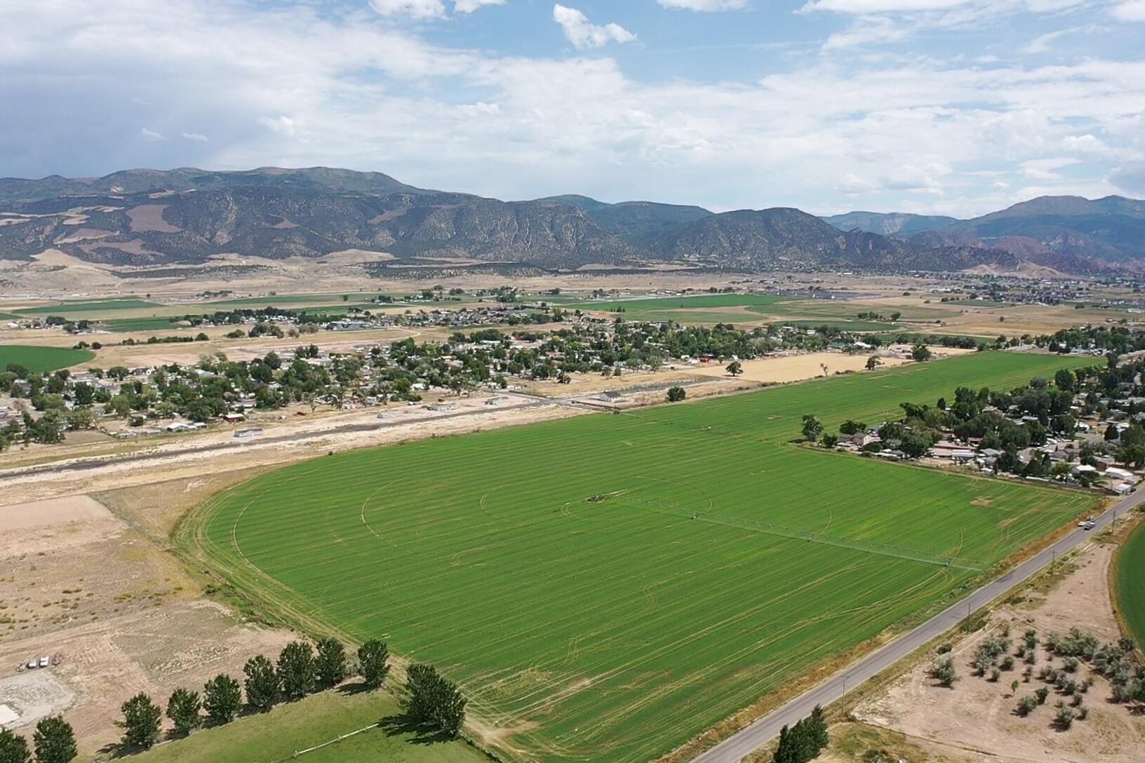 79 Acres in Enoch