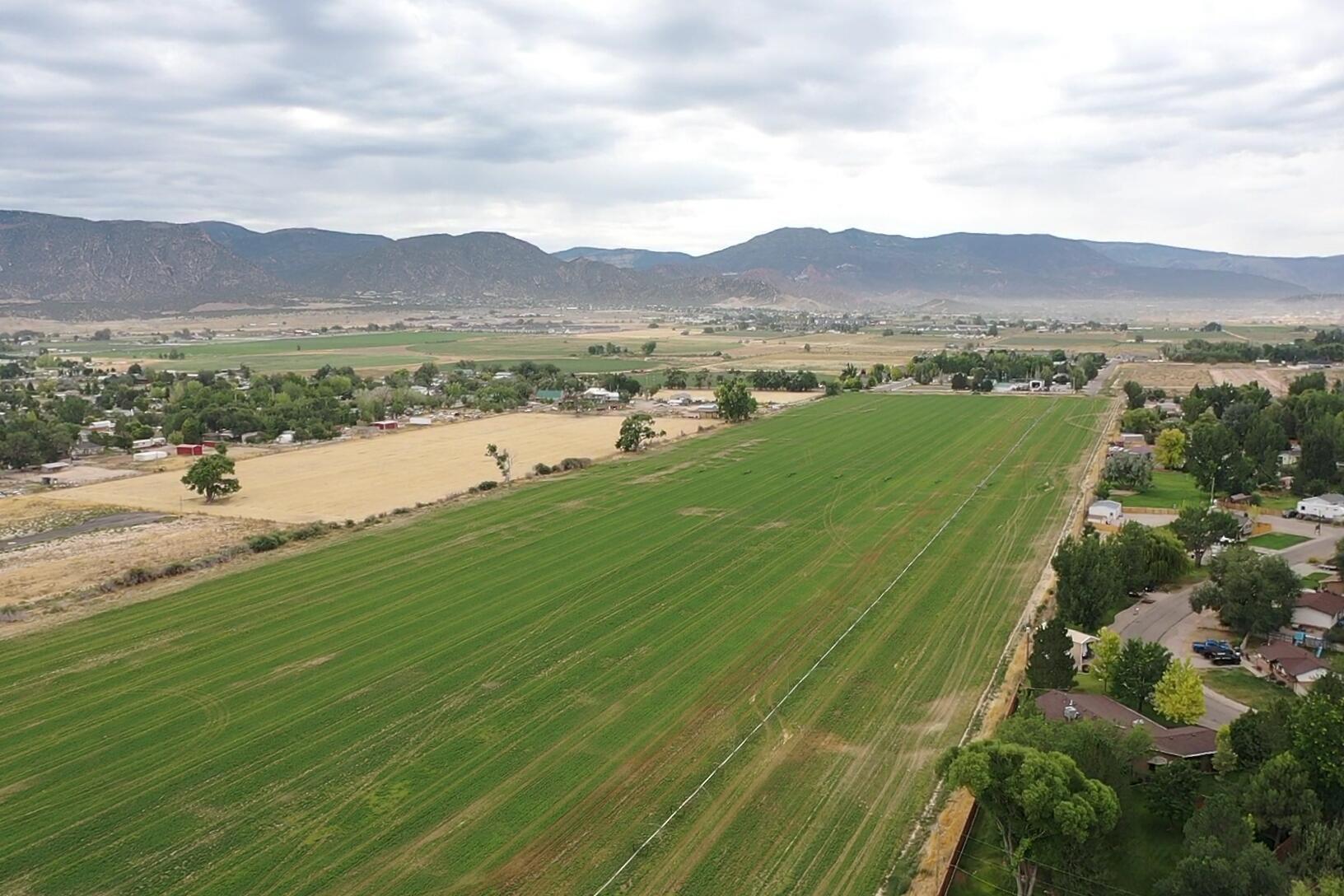 79 Acres in Enoch