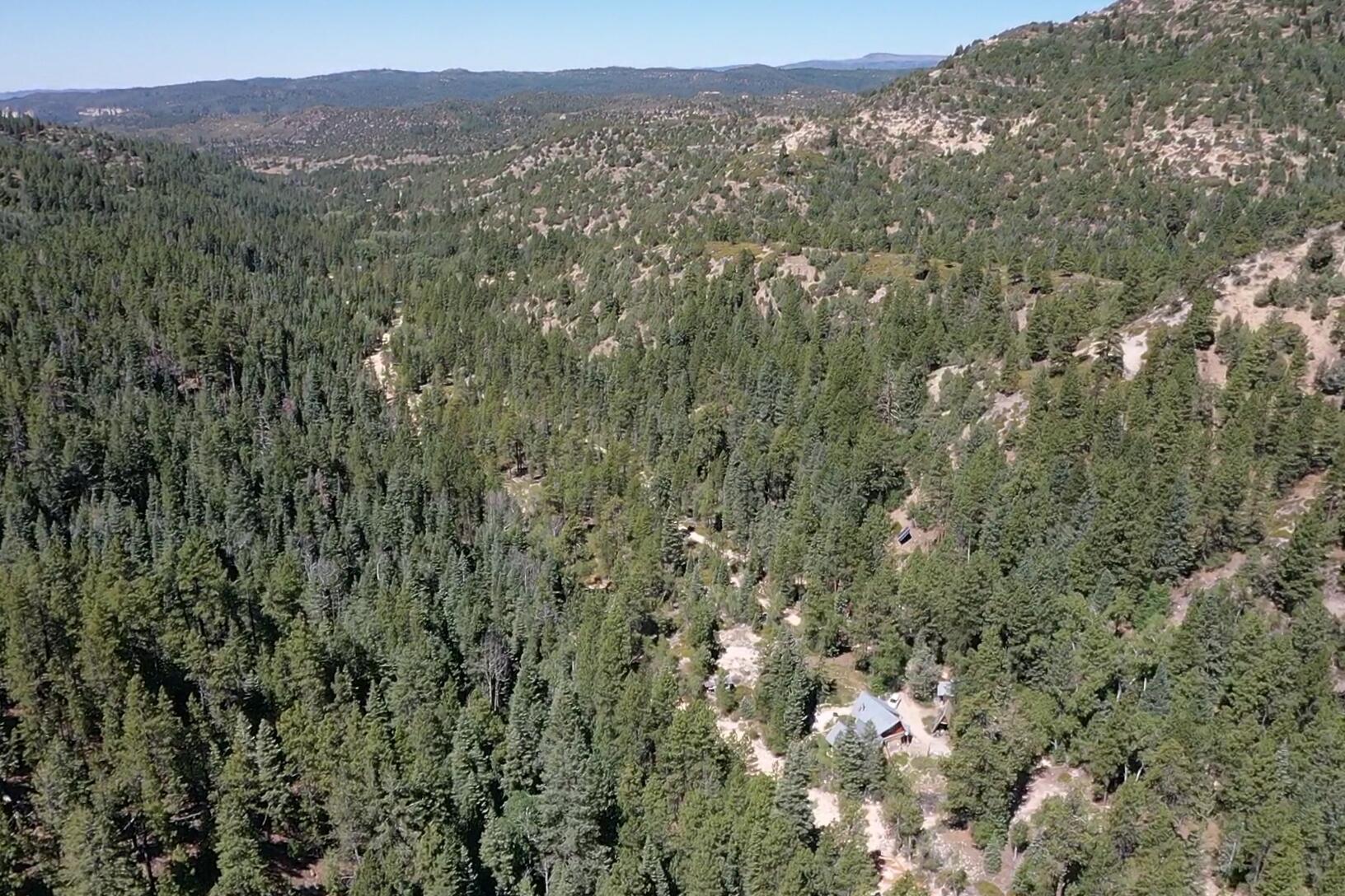 20 Acres Stevens Canyon
