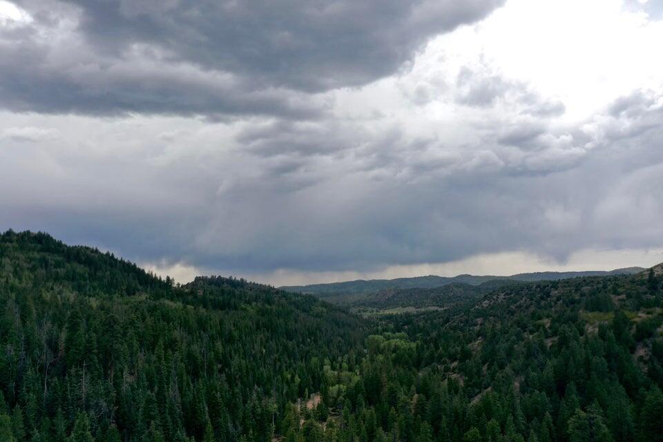 20 Acres Stevens Canyon