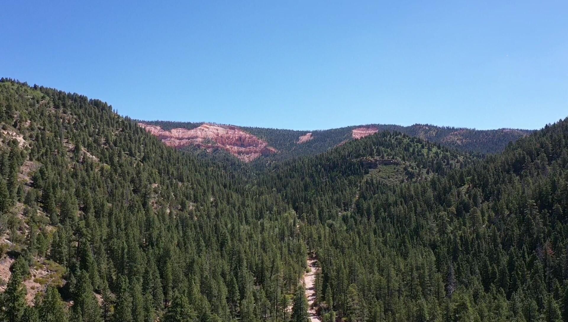 20 Acres Stevens Canyon