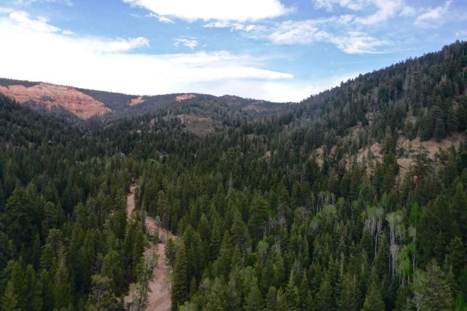 20 Acres Stevens Canyon