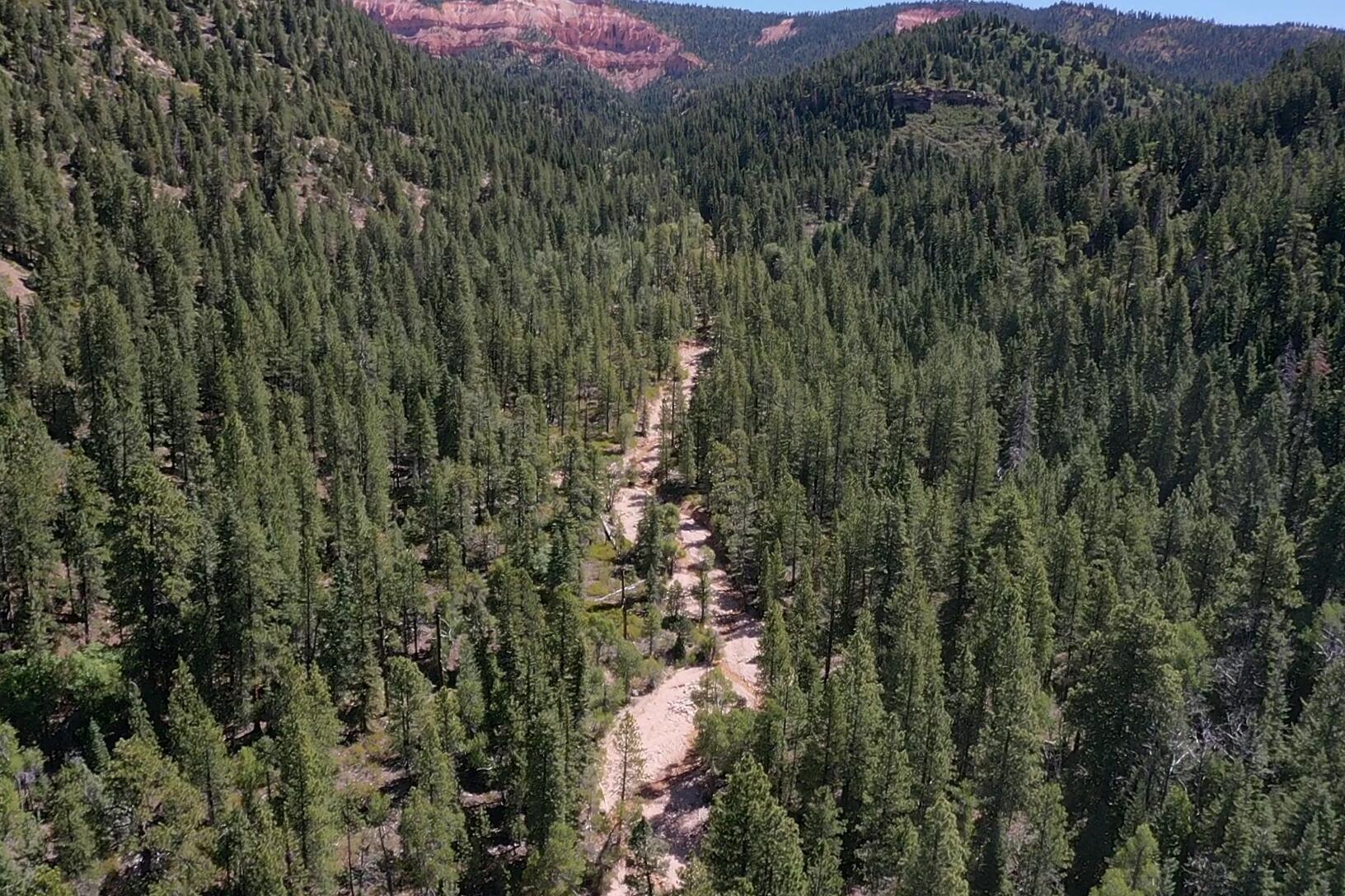 20 Acres Stevens Canyon