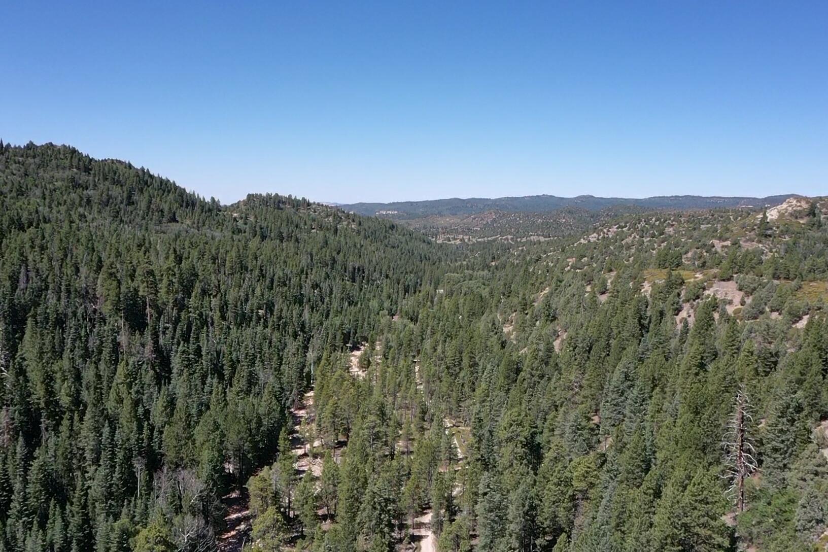 20 Acres Stevens Canyon
