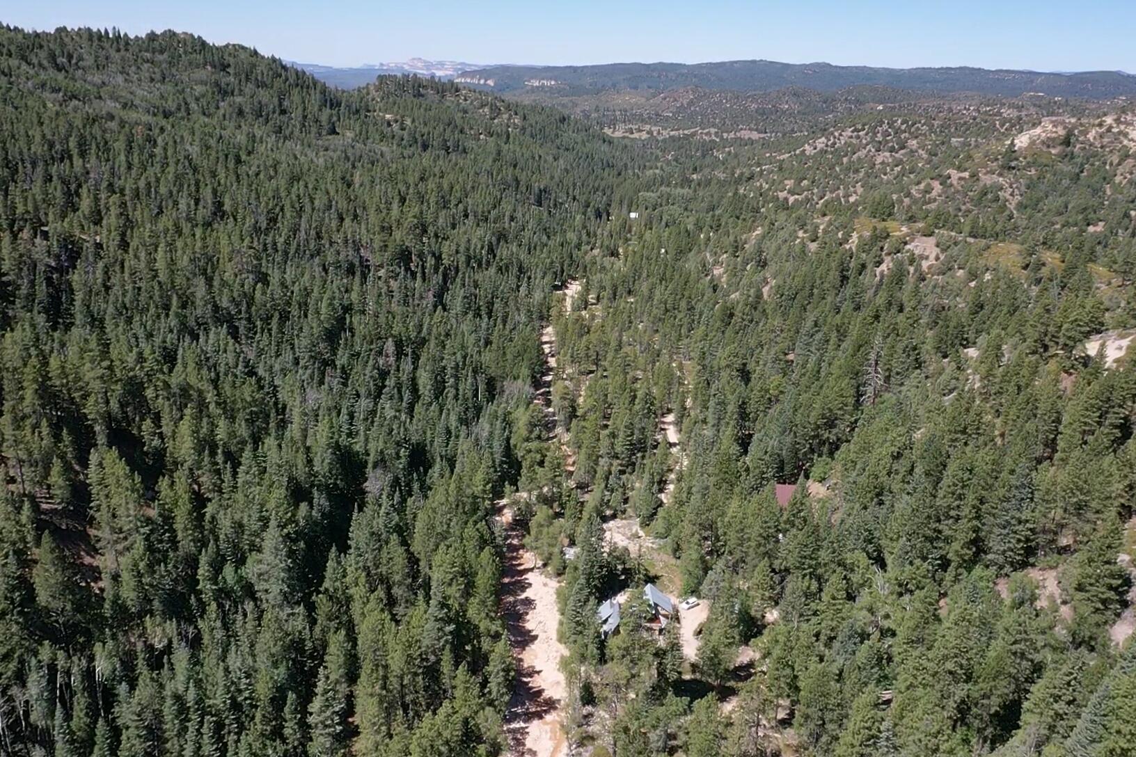 20 Acres Stevens Canyon