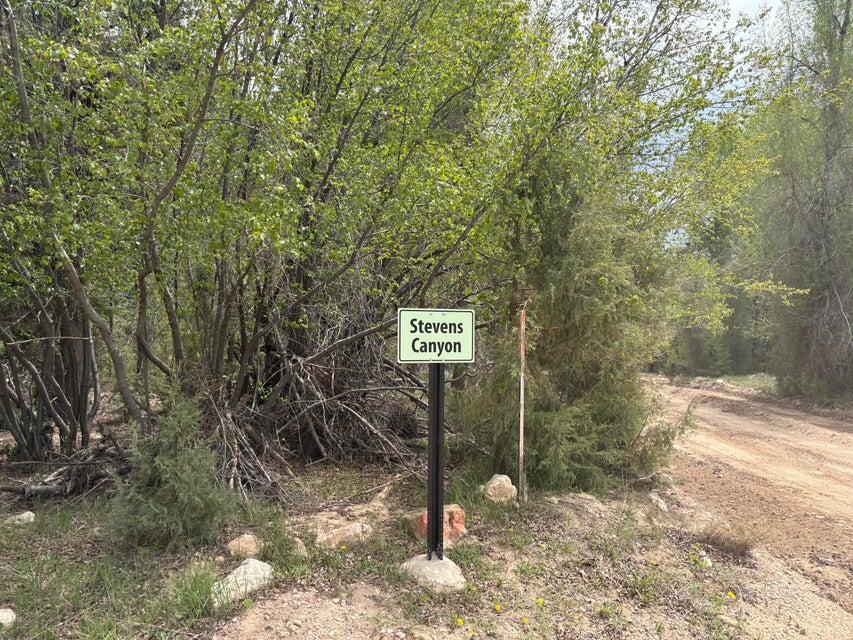 20 Acres Stevens Canyon