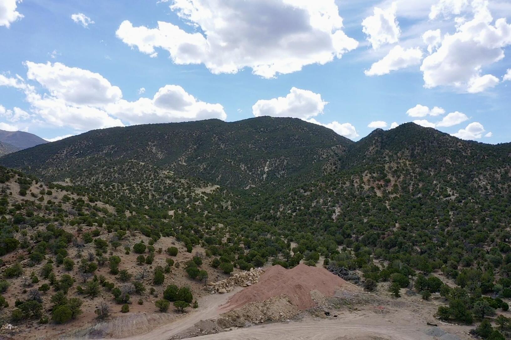 1911 N Pinyon Grove CIR