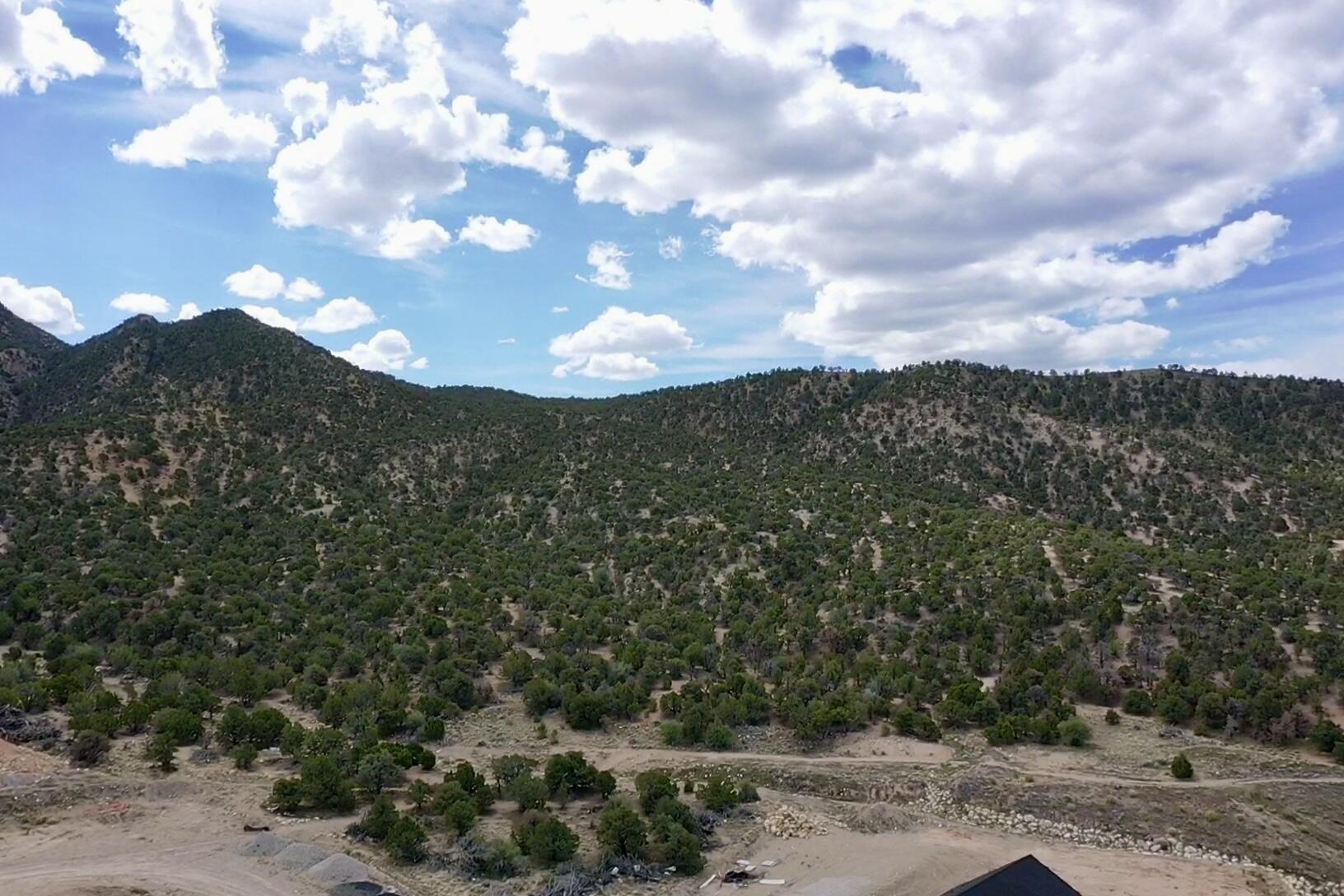 1911 N Pinyon Grove CIR