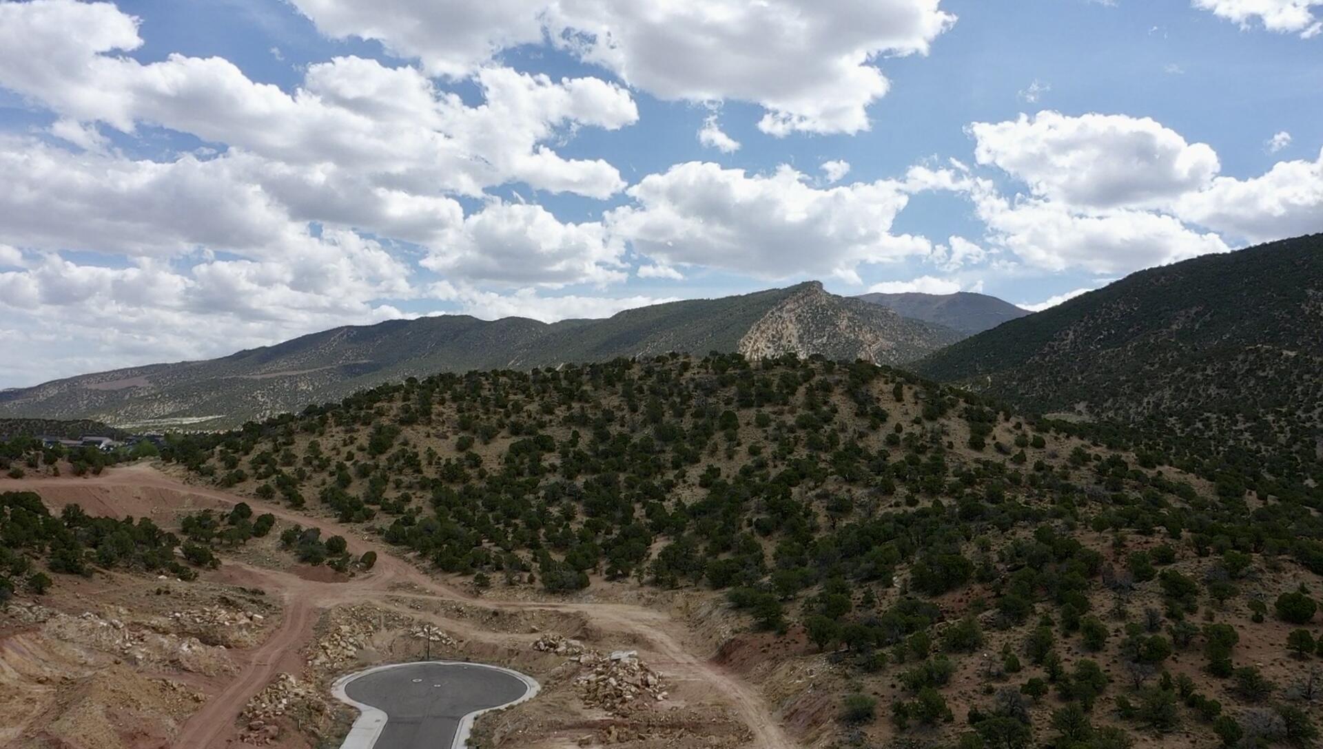 1911 N Pinyon Grove CIR