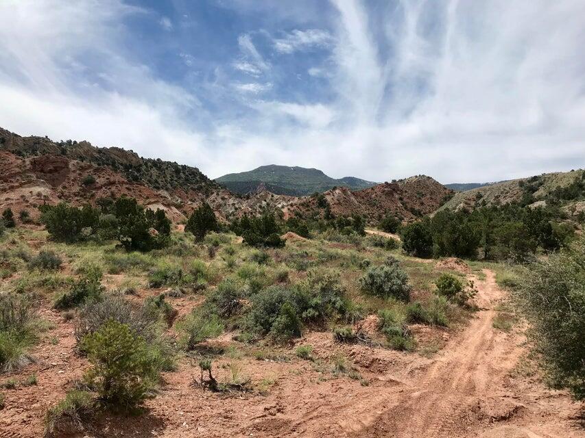 91.83 Acres | Rainbow Canyon