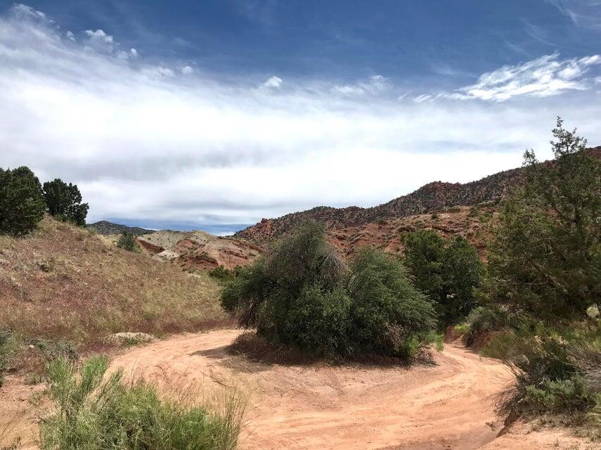 91.83 Acres | Rainbow Canyon