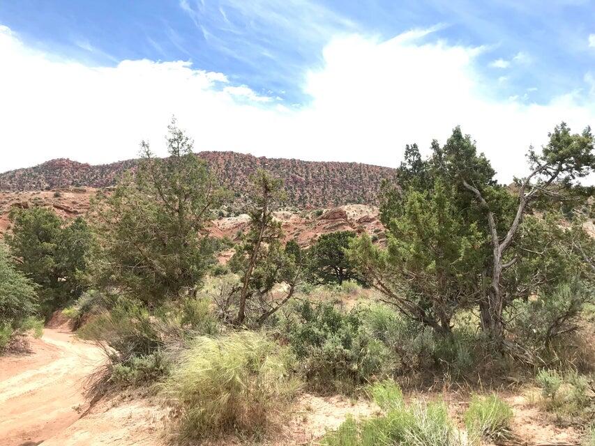 91.83 Acres | Rainbow Canyon