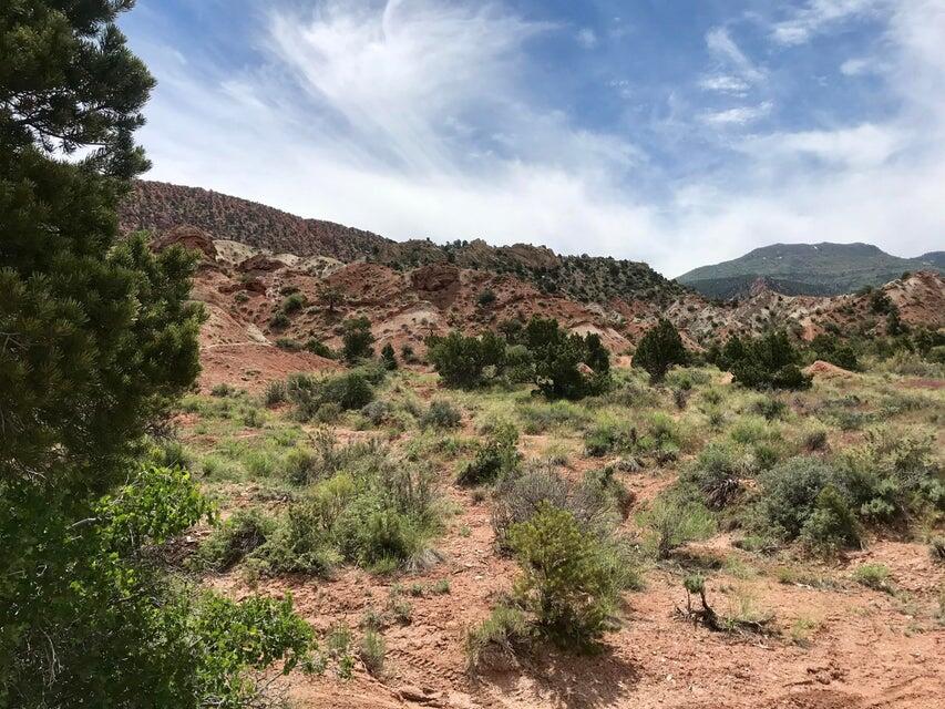 91.83 Acres | Rainbow Canyon