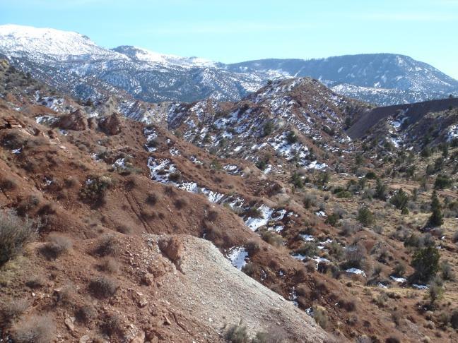91.83 Acres | Rainbow Canyon