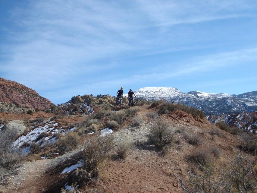 91.83 Acres | Rainbow Canyon