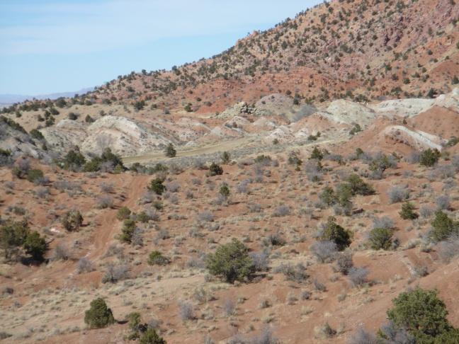 91.83 Acres | Rainbow Canyon