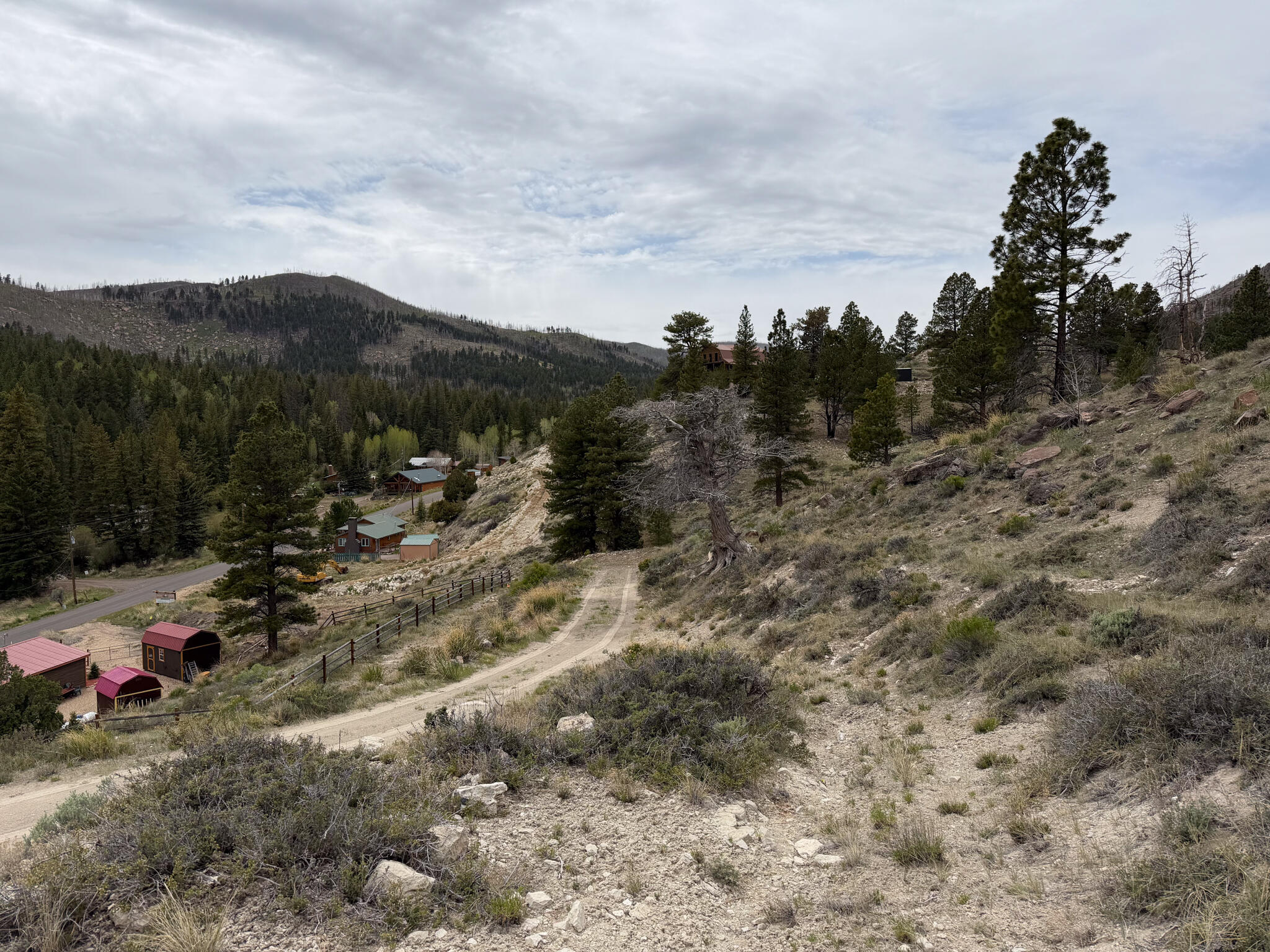 Lot 69 Forest Garden