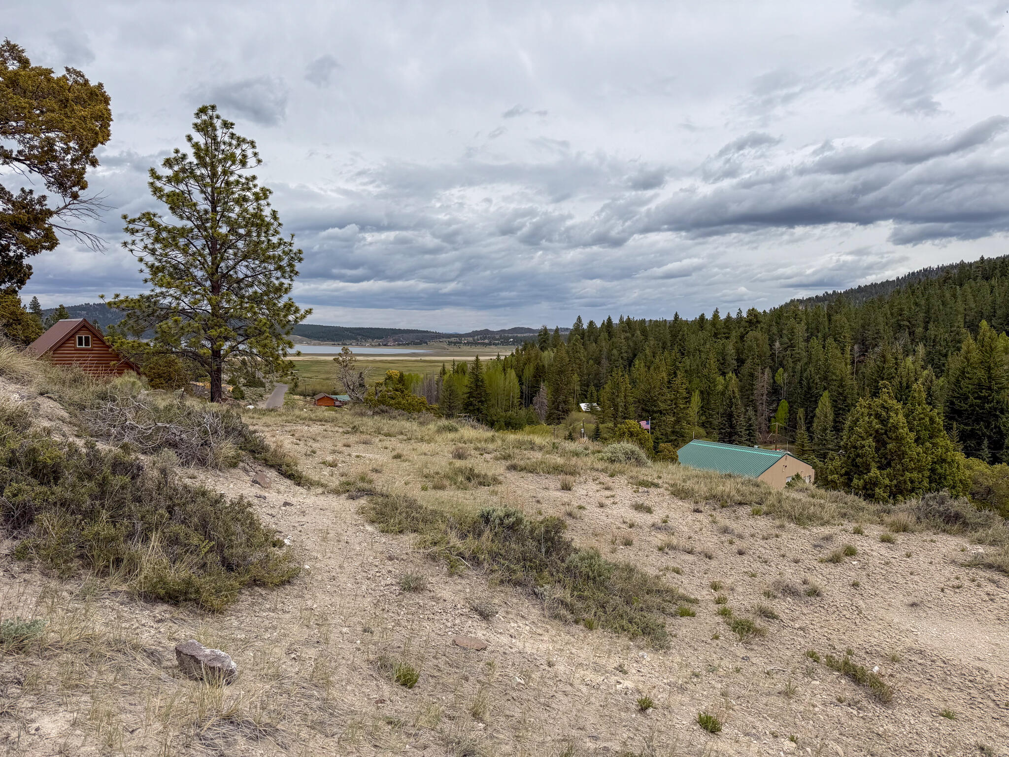 Lot 69 Forest Garden