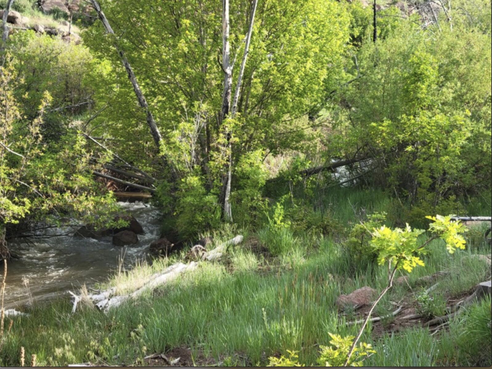 123.24 Acres Parcel 3046-T-NS