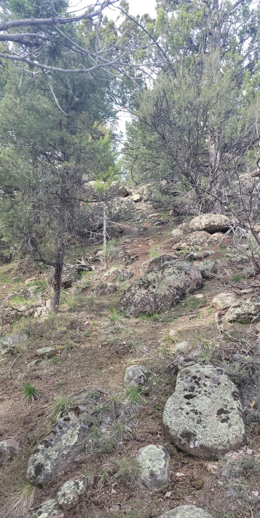 123.24 Acres Parcel 3046-T-NS