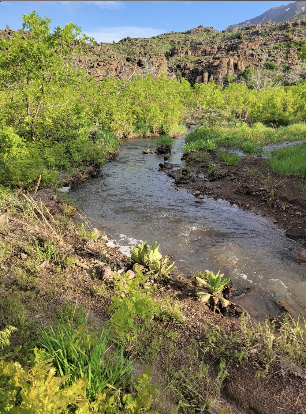 123.24 Acres Parcel 3046-T-NS