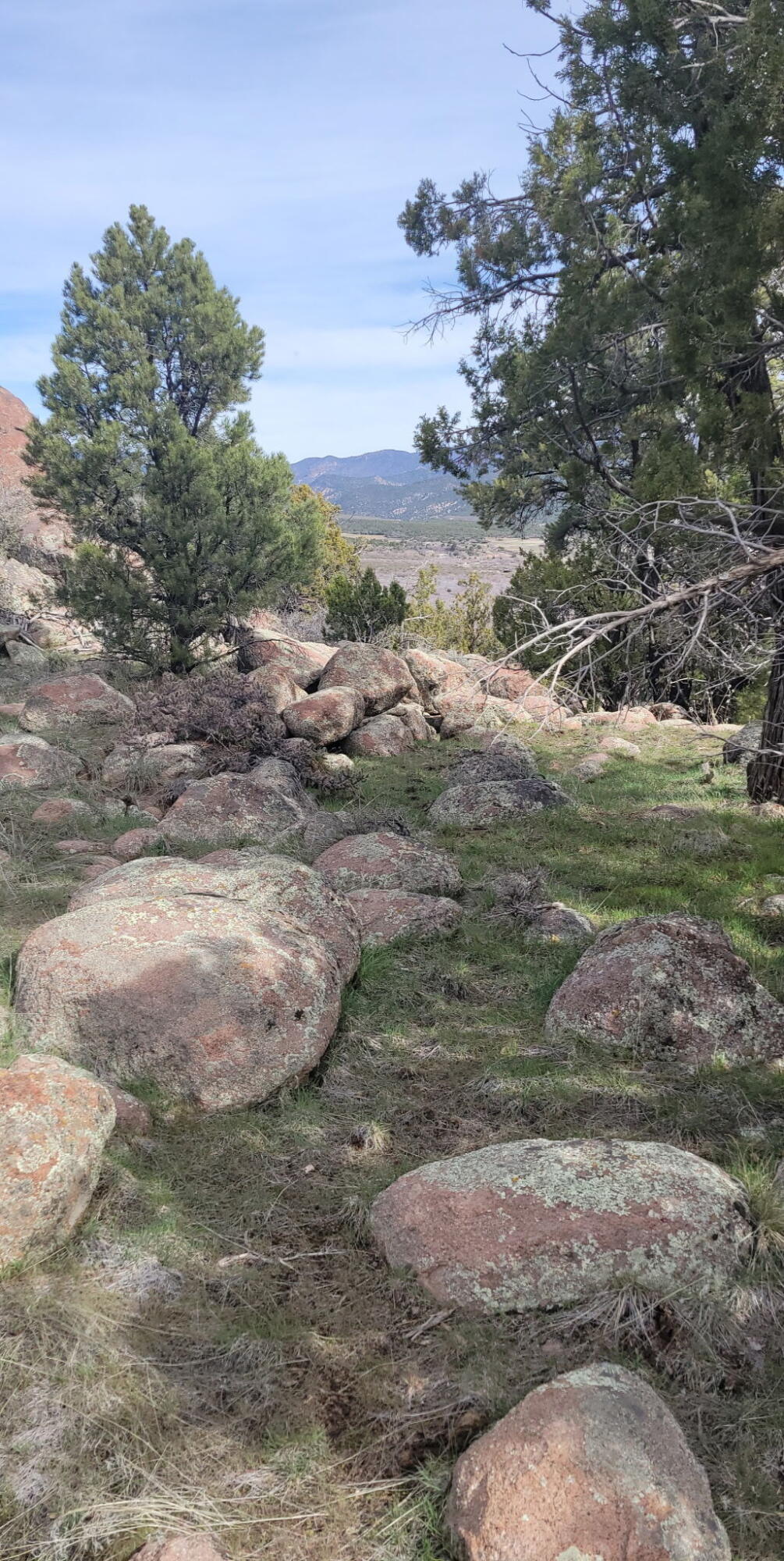 123.24 Acres Parcel 3046-T-NS