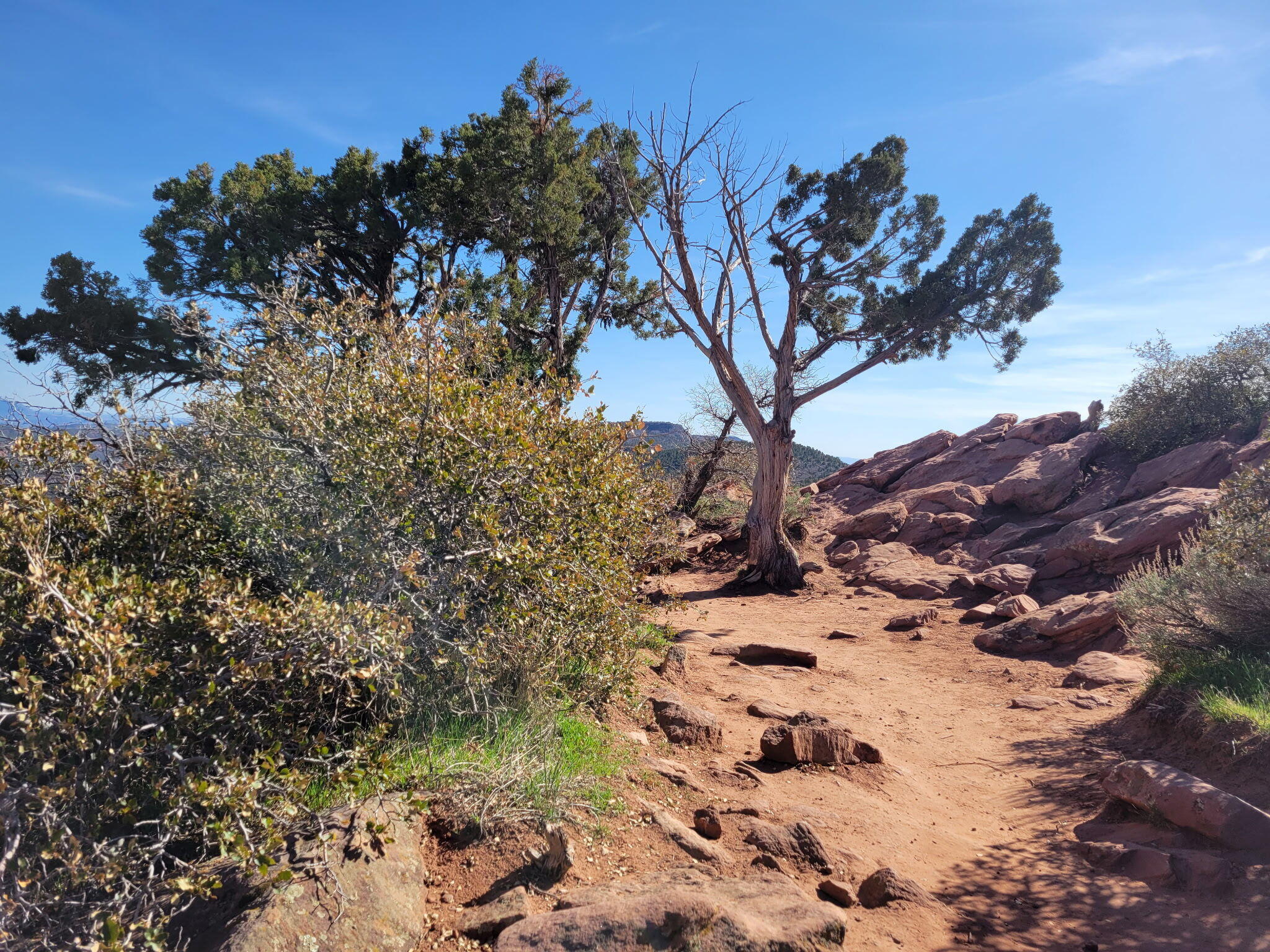 123.24 Acres Parcel 3046-T-NS