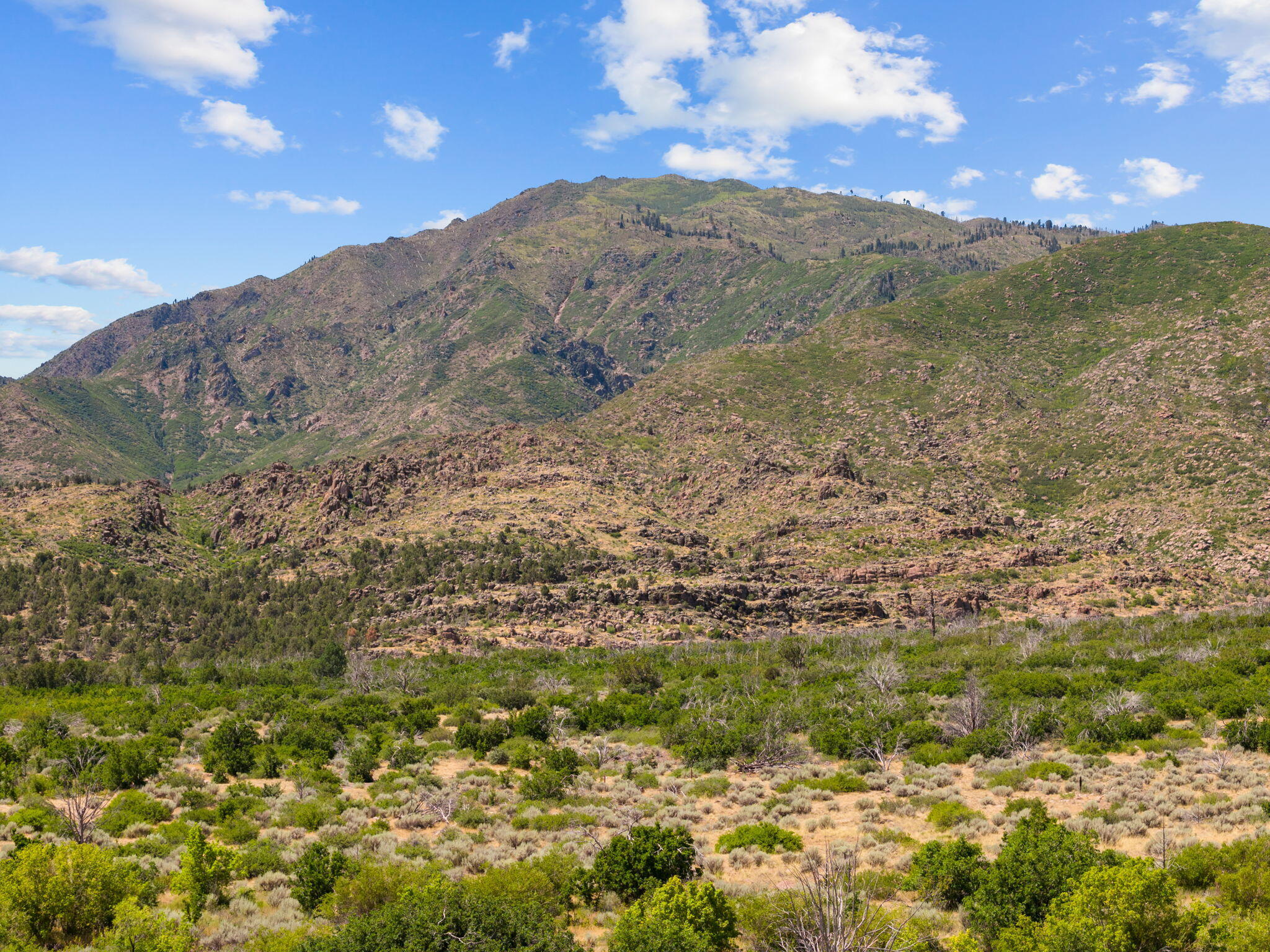 123.24 Acres Parcel 3046-T-NS