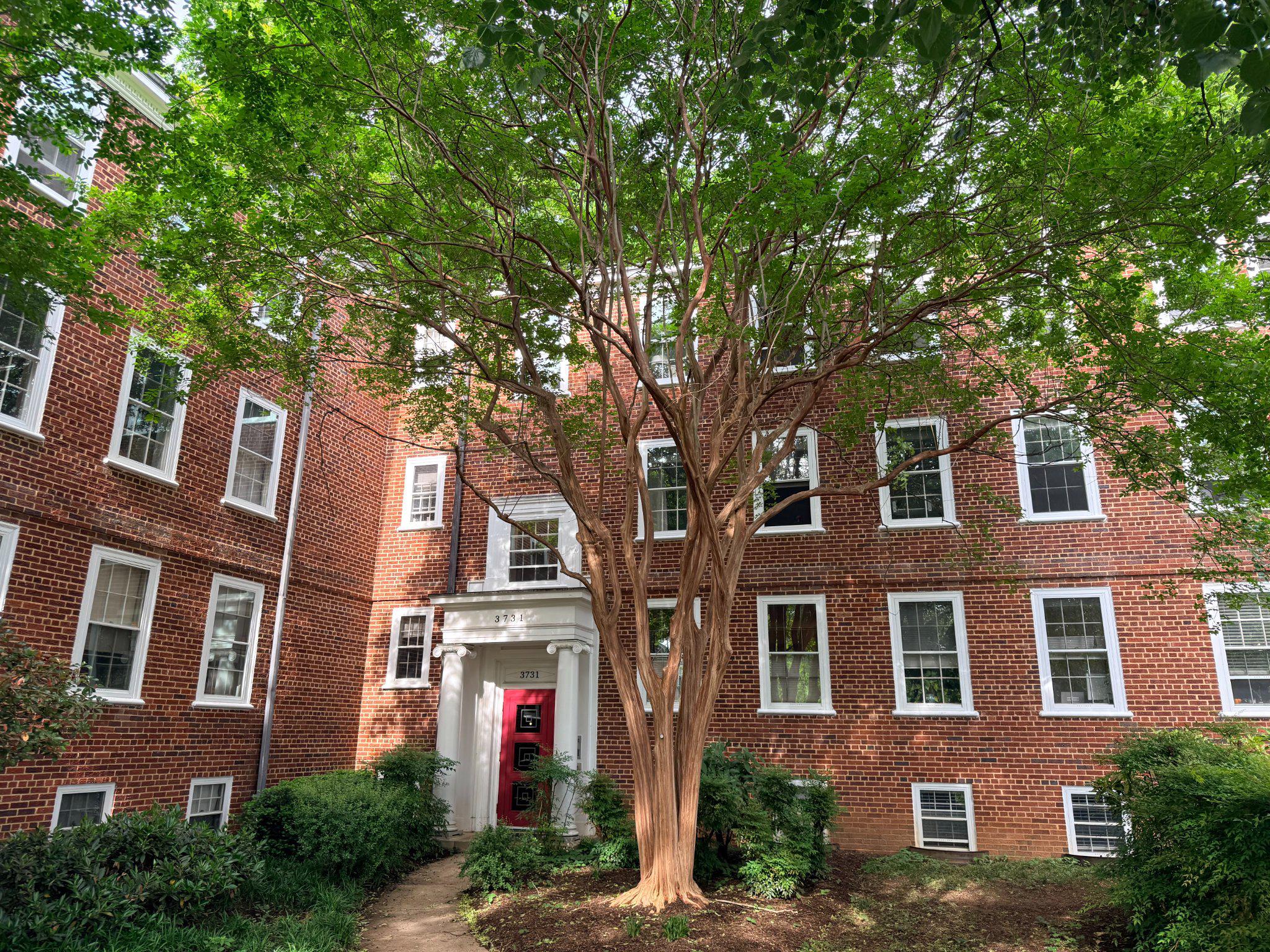 3731 39TH STREET NW B200