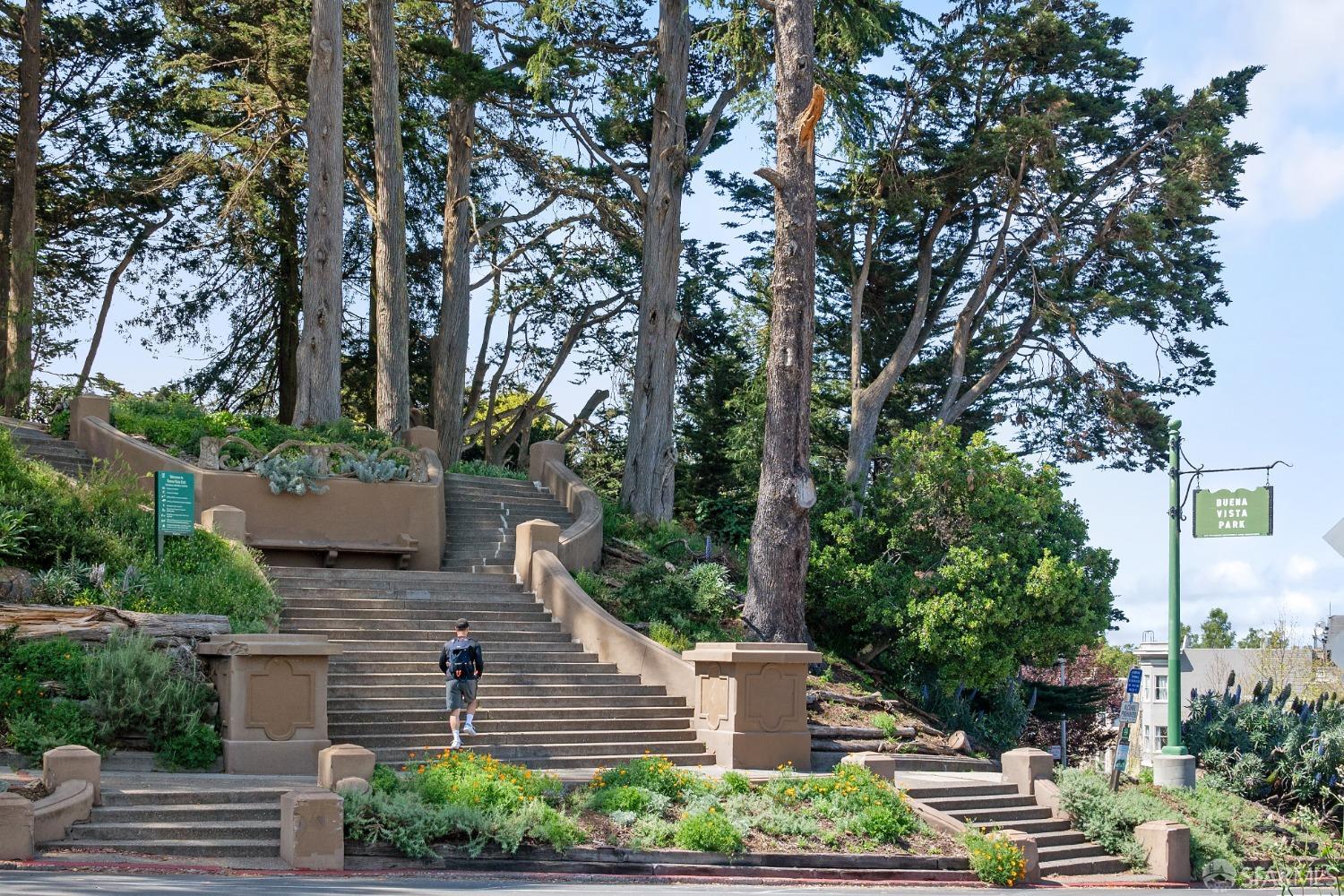 50 Buena Vista Terrace