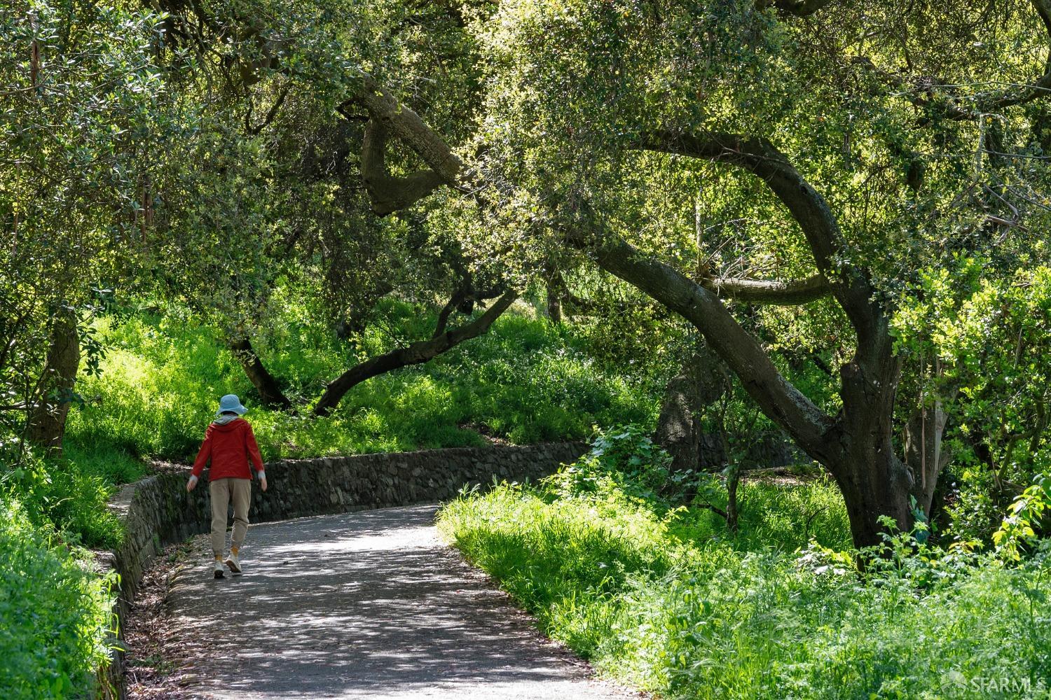 50 Buena Vista Terrace