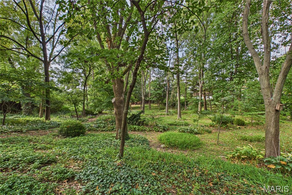 1139 Indian Meadows Drive