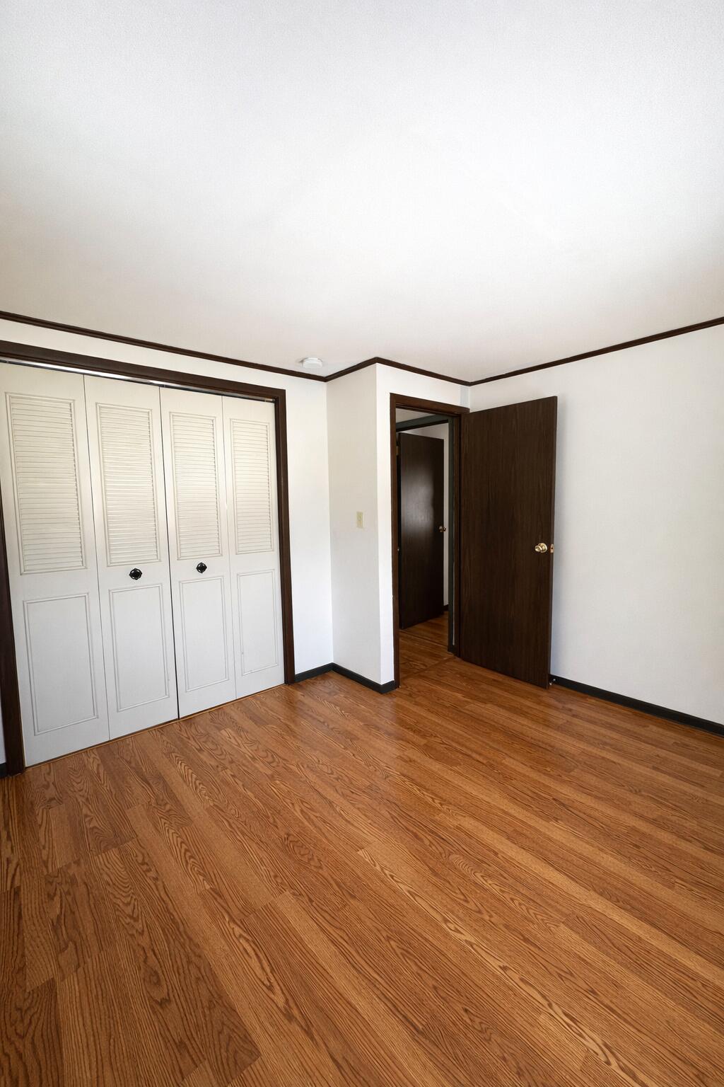 381 Birch Street