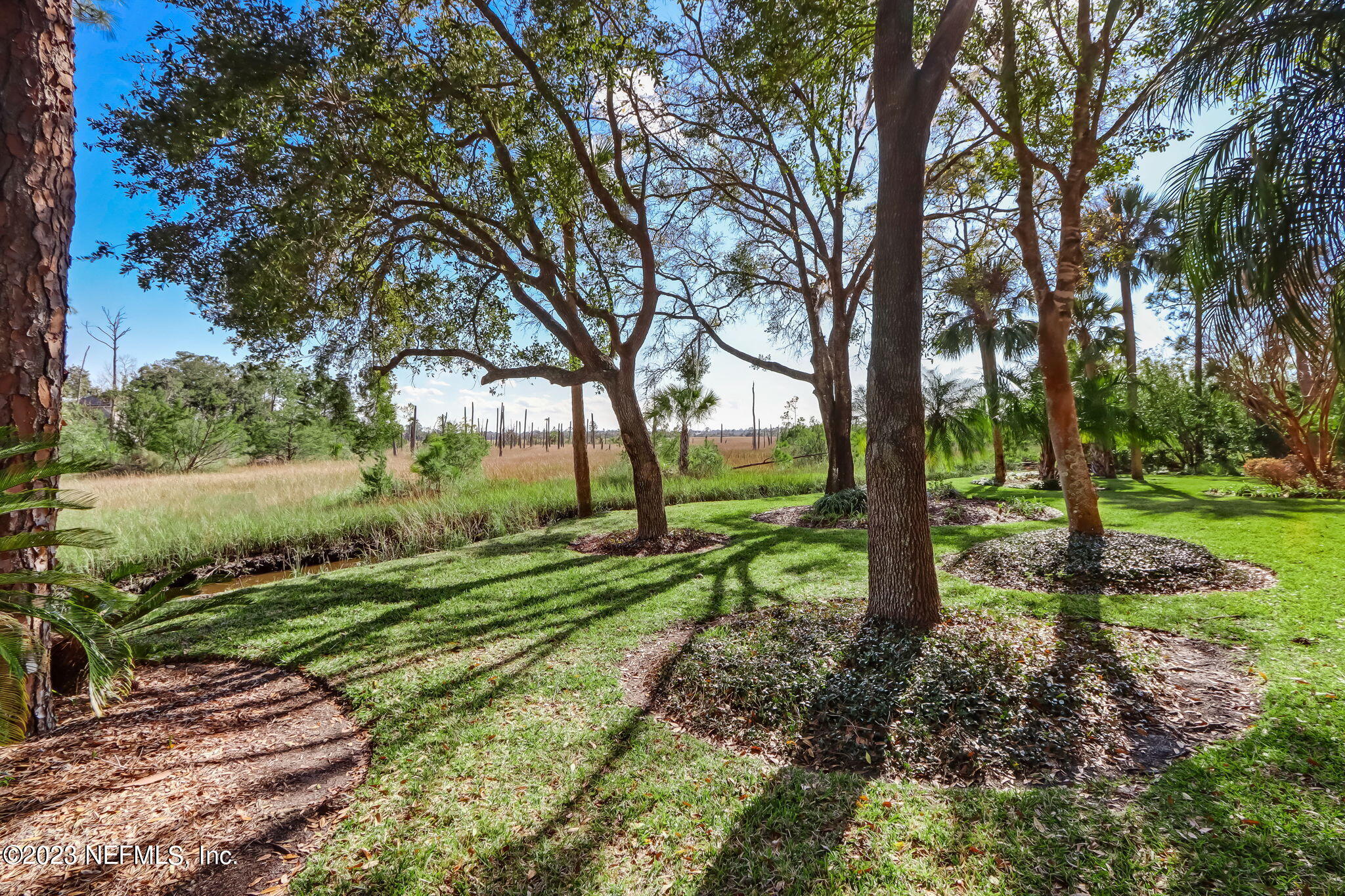 105 TEAL POINTE LN