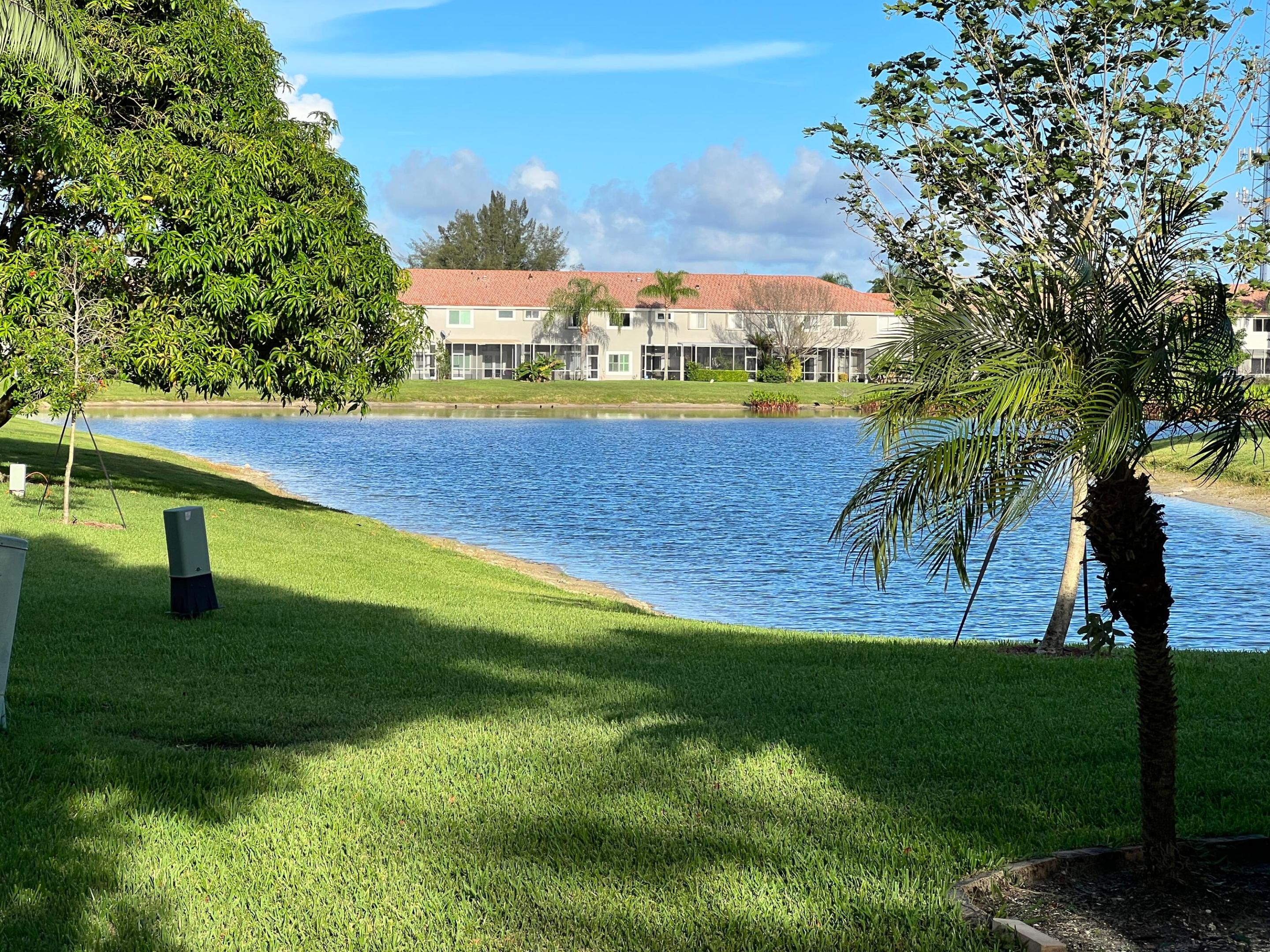Residential building across a pond, framed by palms and a leafy tree.