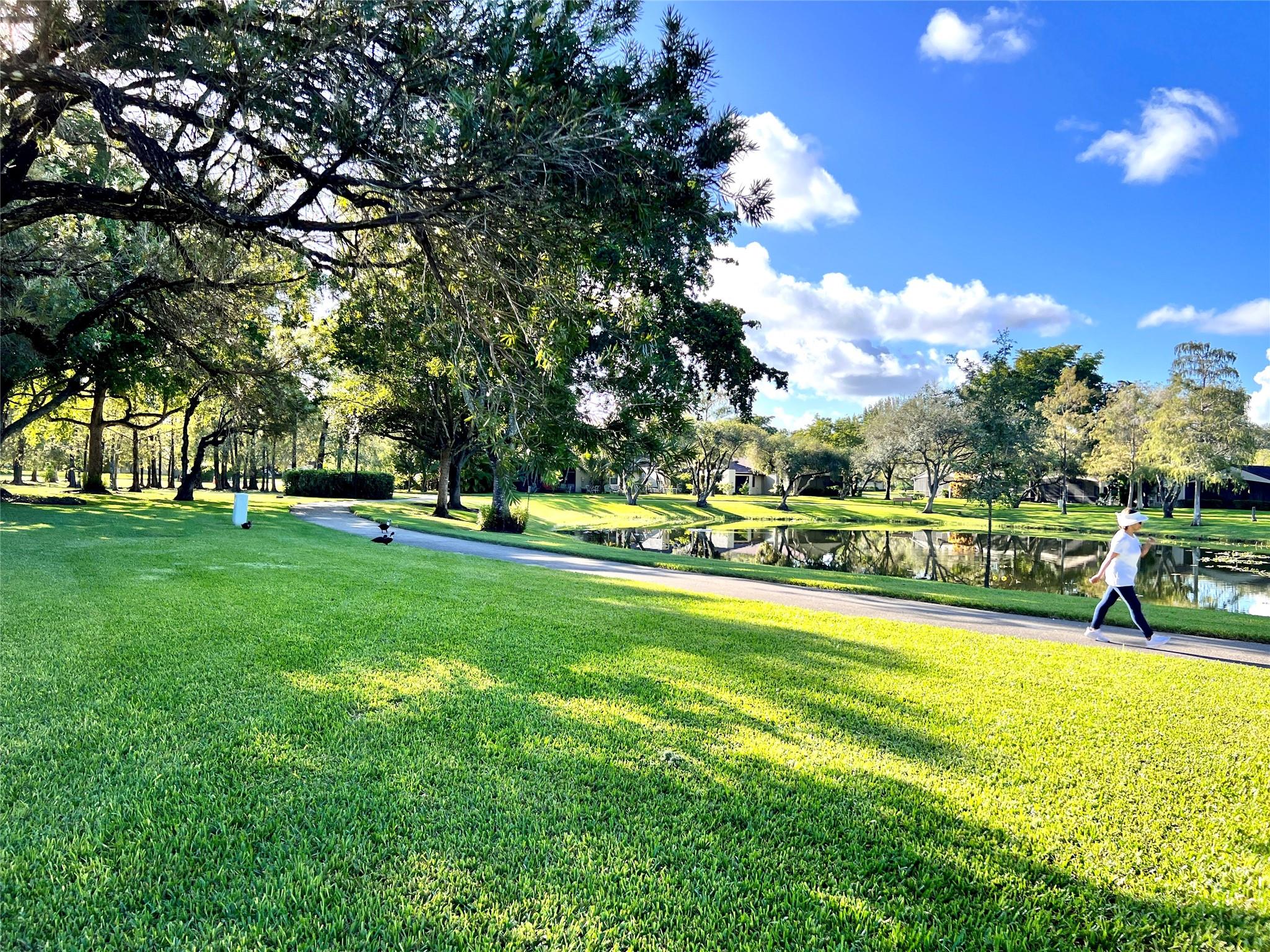 22303 Misty Woods Way