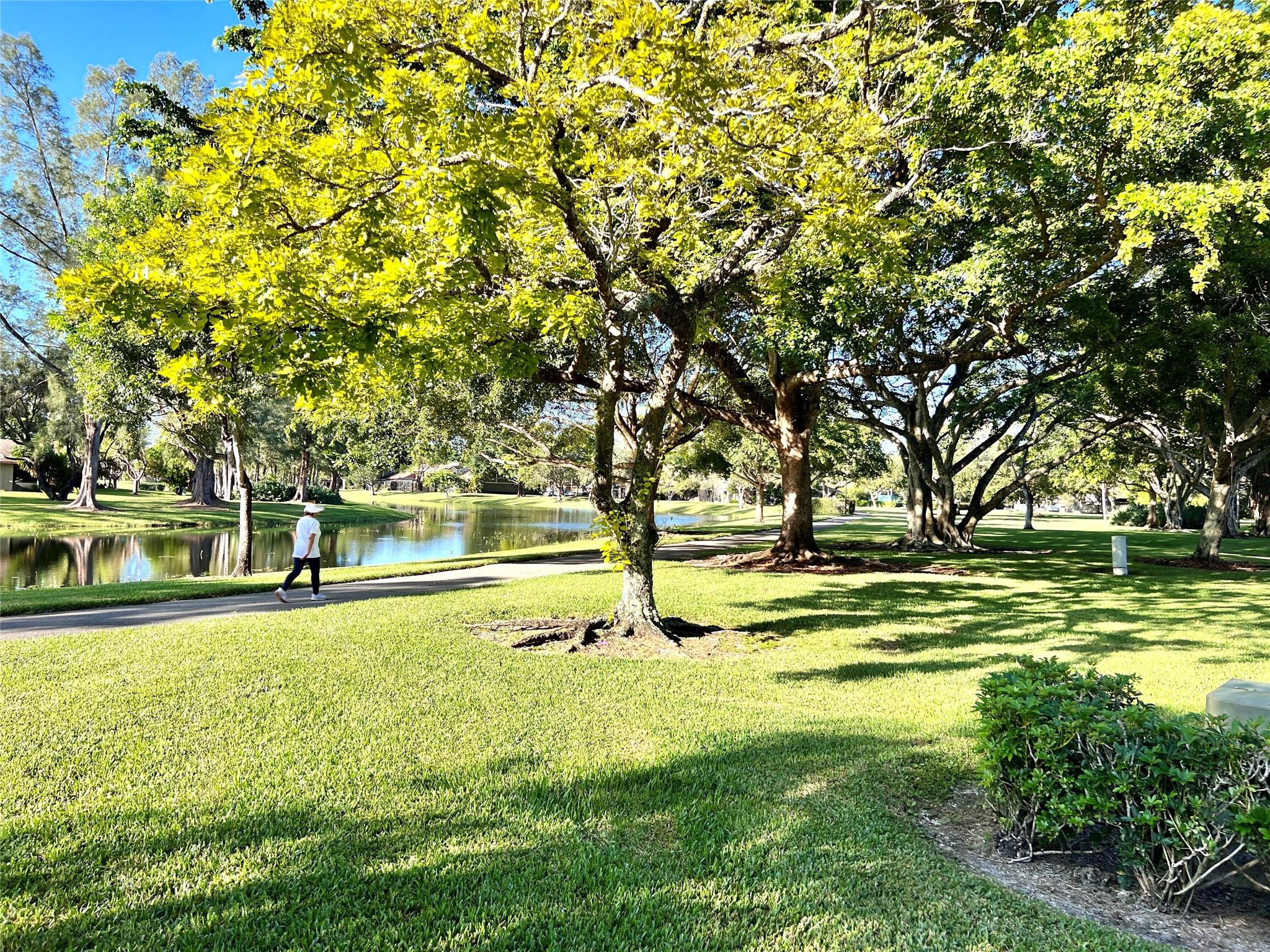 22303 Misty Woods Way