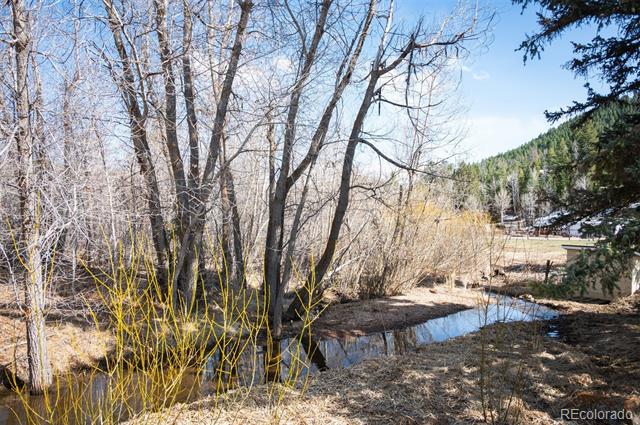 10039 S Turkey Creek Road