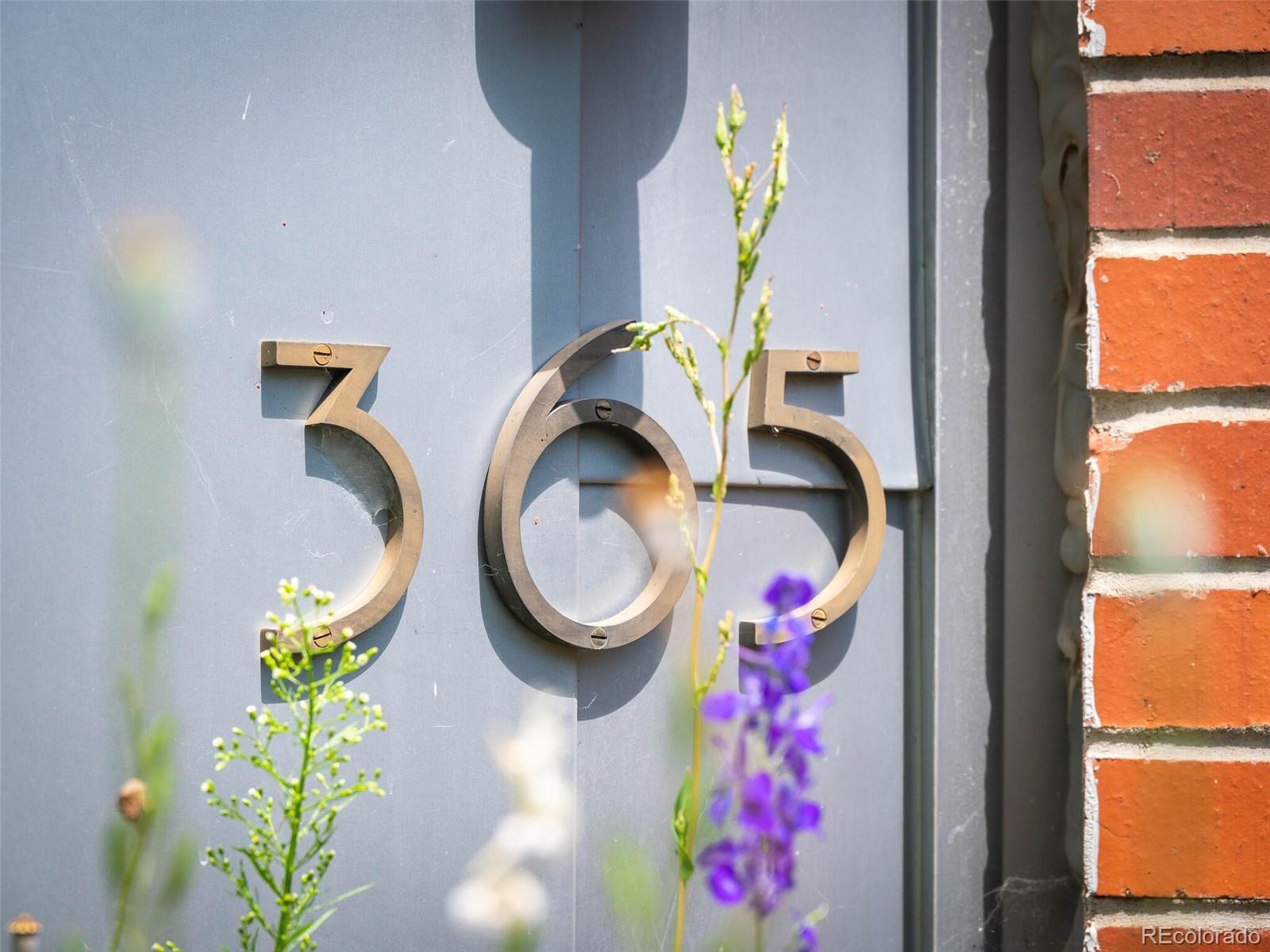 365 Pearl Street