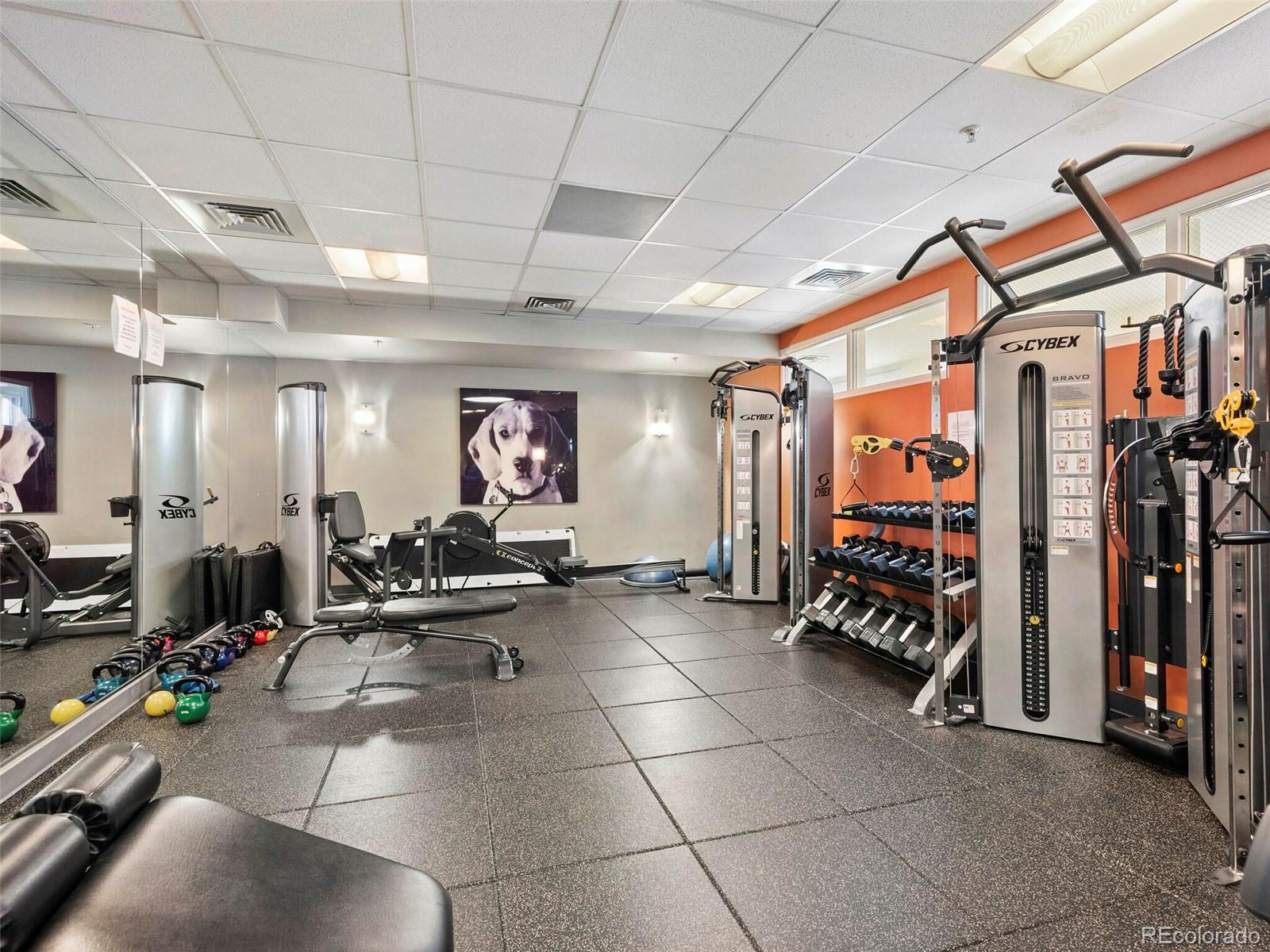 410 Acoma Street Unit: 321