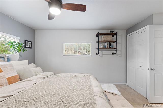 26095 Columbine Trail