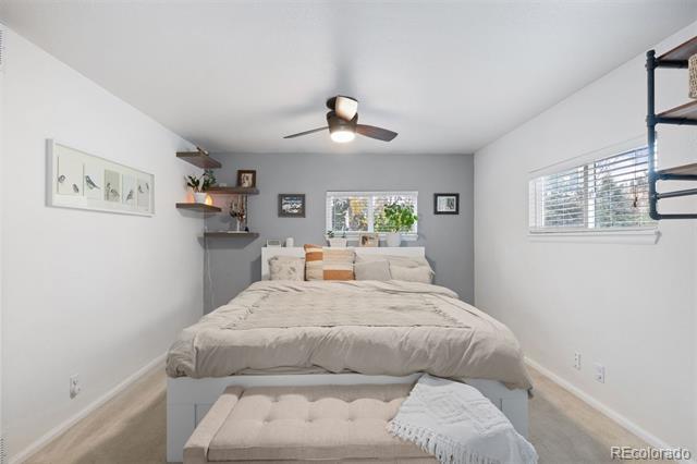 26095 Columbine Trail